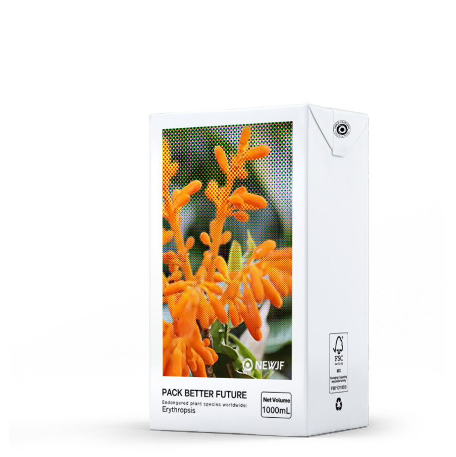 Brick Aseptic Packaging - Handy and Well-designed packaging